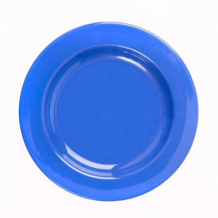 6 Healthcare Plates 10"/254mm - Blue